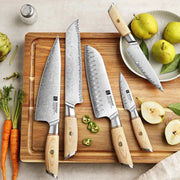 5Pcs Knife Set