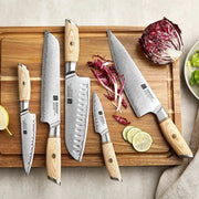 5Pcs Knife Set