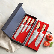 5Pcs Knife Set